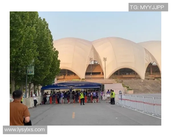 沧州雄狮:传承千年文化与现代技艺的辉煌象征 沧州雄狮:传承千年文化与现代技艺的辉煌象征