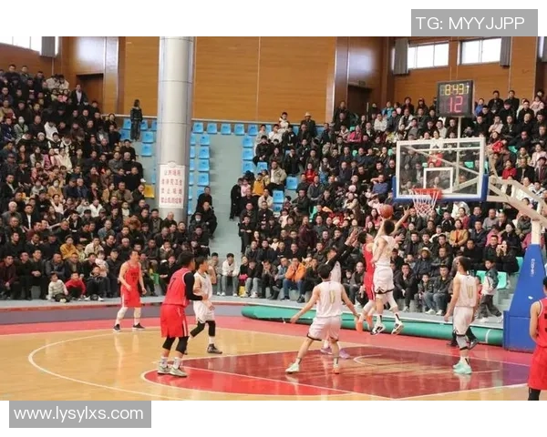 篮球魅力无限：探索篮球文化的深度与广度，感受激情与竞技的完美融合