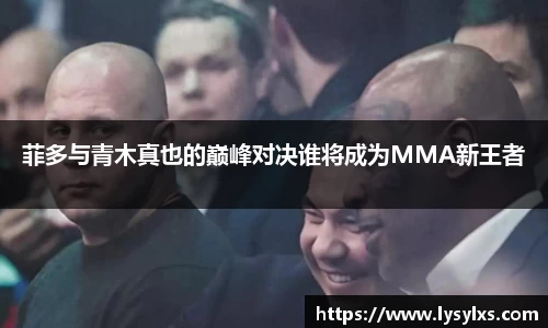 菲多与青木真也的巅峰对决谁将成为MMA新王者
