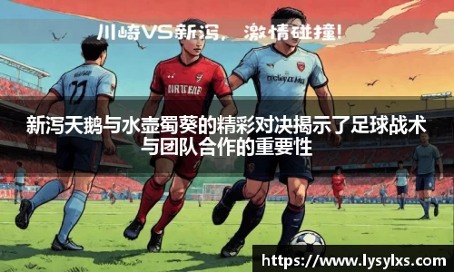新泻天鹅与水壶蜀葵的精彩对决揭示了足球战术与团队合作的重要性