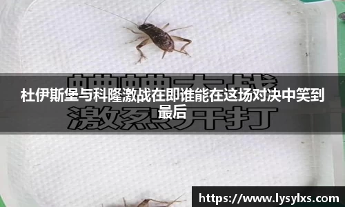 杜伊斯堡与科隆激战在即谁能在这场对决中笑到最后